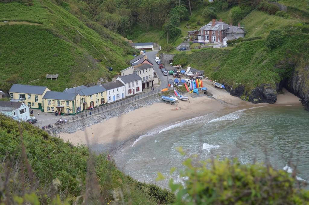 Troedyrhiw Bed & Breakfast 卡迪根 外观 照片