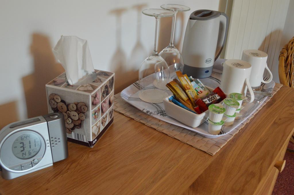 Troedyrhiw Bed & Breakfast 卡迪根 客房 照片