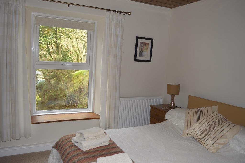 Troedyrhiw Bed & Breakfast 卡迪根 客房 照片