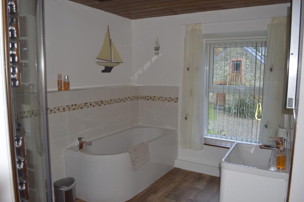 Troedyrhiw Bed & Breakfast 卡迪根 客房 照片